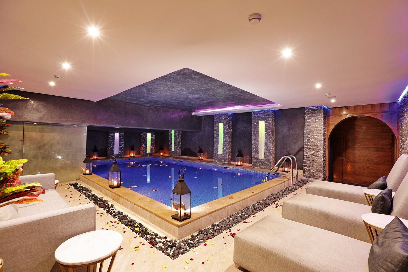 as-a-special-treat-for